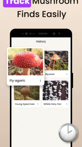 Soppgjenkjenner – Fungi ID screenshot