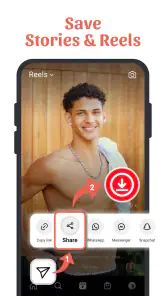 Video Downloader - Story Save screenshot