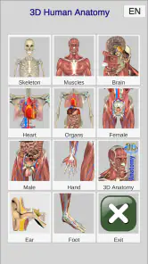 3D Bones and Organs (Anatomy) screenshot