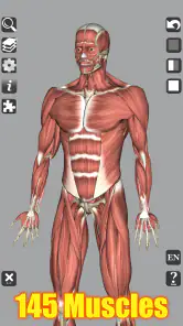 3D Bones and Organs (Anatomy) screenshot
