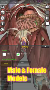 3D Bones and Organs (Anatomy) screenshot