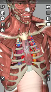 3D Bones and Organs (Anatomy) screenshot