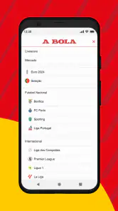 A BOLA screenshot