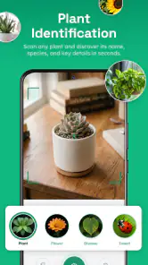 AI Plants - Plant Identifier screenshot