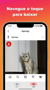 Baixar vídeos e fotos Ins screenshot