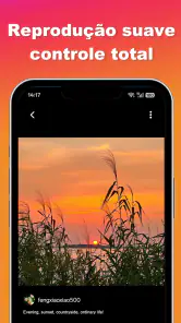 Baixar vídeos e fotos Ins screenshot