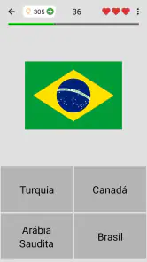 Bandeiras dos países do mundo screenshot
