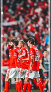 Benfica Wallpaper HD 4k 2024 screenshot