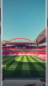 Benfica Wallpaper HD 4k 2024 screenshot