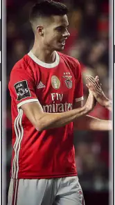 Benfica Wallpaper HD 4k 2024 screenshot