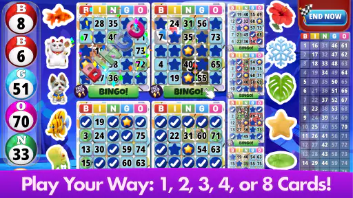 Bingo Classic - Jogos de Bingo screenshot