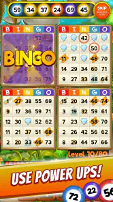 Bingo Quest: Summer Adventure screenshot
