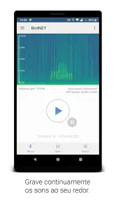 BirdNET screenshot