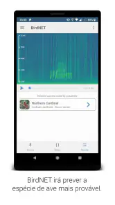 BirdNET screenshot