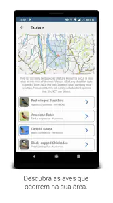 BirdNET screenshot