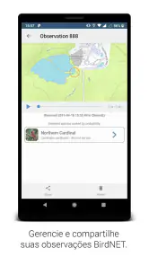 BirdNET screenshot
