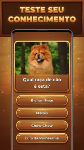Bum de Trivia: Trivia Blocks screenshot