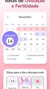 Calendário do período screenshot