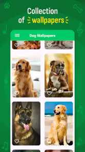 Cão Toque de chamada Wallpaper screenshot