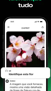 Chatbot - IA em Português screenshot
