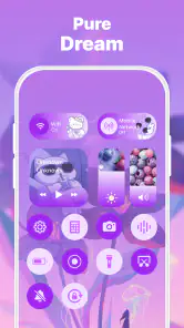 Control Widget: Theme & Panels screenshot