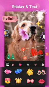 Criador de vídeo com música screenshot