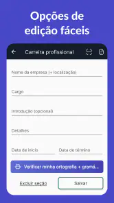 Currículo PDF - CV Engineer screenshot