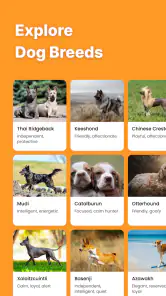 DogLingo - Translate & Train screenshot