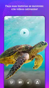 Edição de fotos, trocador screenshot