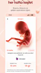 Elika: Hamilelik Takibi screenshot