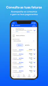 Endesa Portugal screenshot