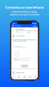 Endesa Portugal screenshot