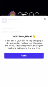 Expo Go screenshot