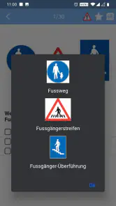 Fahrlehrer24 screenshot