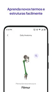 Flashcards do Daily Anatomy screenshot