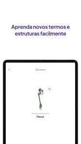 Flashcards do Daily Anatomy screenshot