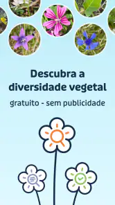 Flora Incognita screenshot