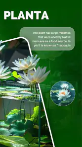 Florify: AI Plant Identifier screenshot