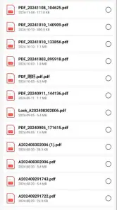 FLY PDF screenshot