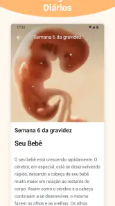 Gravidez + App Semana a Semana screenshot