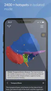 Head Atlas screenshot