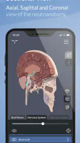 Head Atlas screenshot