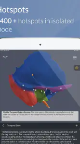 Head Atlas screenshot