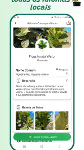 Identificador de plantas screenshot