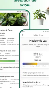 Identificador de plantas screenshot