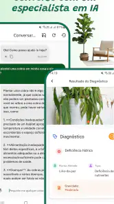 Identificador de plantas screenshot
