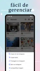 InstSaver: baixador de vídeo screenshot