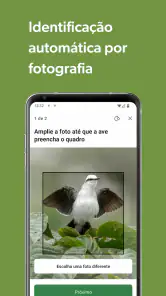 Merlin Bird ID por Cornell Lab screenshot