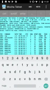 Mocha Telnet screenshot