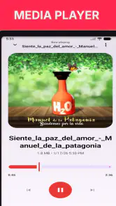 Mp3 Music Downloader app screenshot